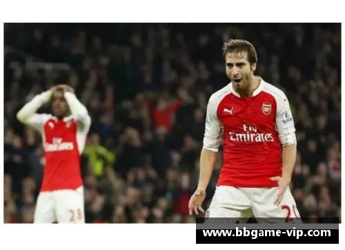 足球明星资产管理手册