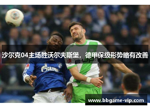 沙尔克04主场胜沃尔夫斯堡，德甲保级形势略有改善