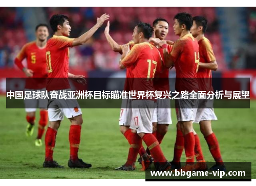 中国足球队奋战亚洲杯目标瞄准世界杯复兴之路全面分析与展望