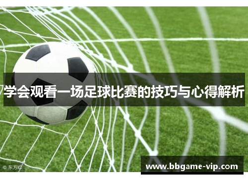 学会观看一场足球比赛的技巧与心得解析
