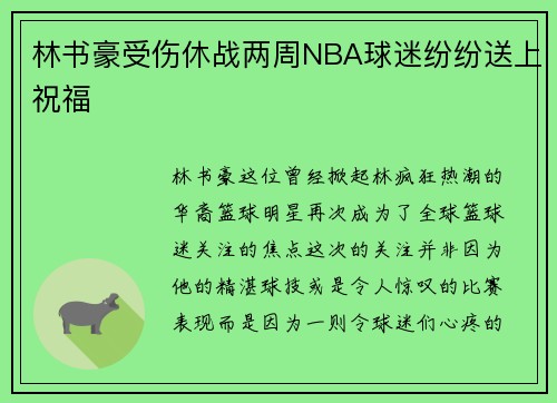 林书豪受伤休战两周NBA球迷纷纷送上祝福